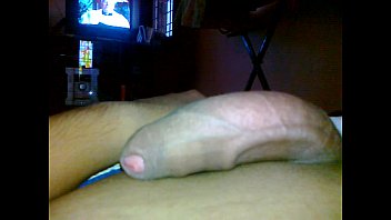 Massive Indian Stallion