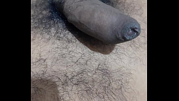 Hard Indian Cock Pulsating With Desire