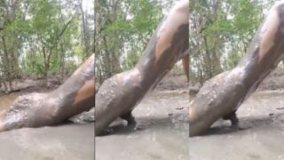 Filthy And Desperate: A Mud-soaked Fuck For A Lonely Addict