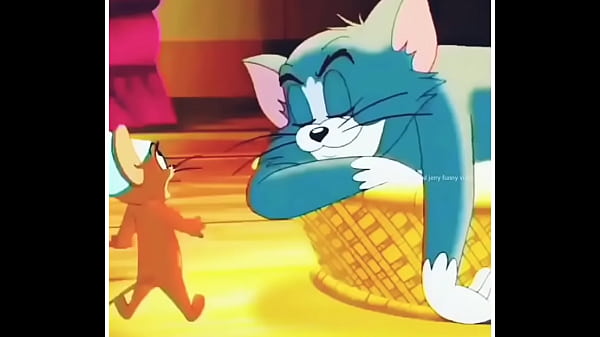 Tom And Jerry’s Wild And Steamy Cat-and-mouse Game