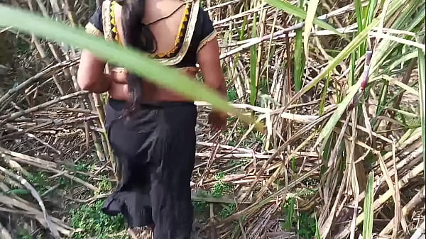 Desi Step-aunty Gets Fucked In The Sugarcane Field Under The Open Sky